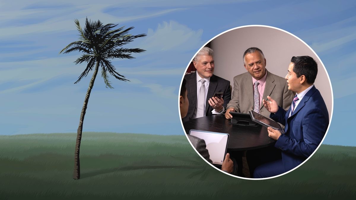 El mismo árbol flexible se dobla ante la tempestad de viento. En un círculo aparecen varios ancianos reunidos. Un anciano joven habla mientras los otros escuchan.