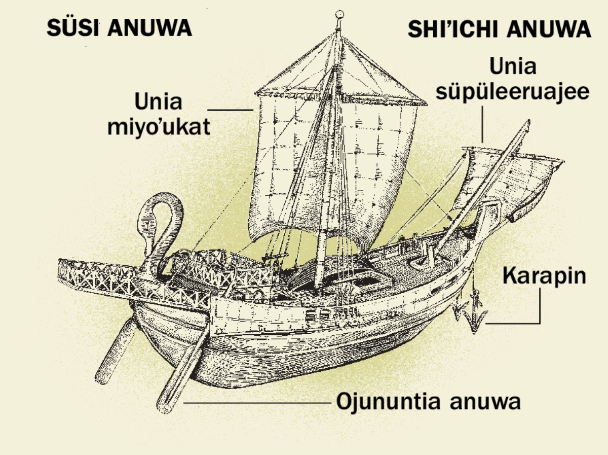 Shiyaakua wanee anuwa sümaiwajatü, süsinainjee sünainmüinreʼeya shiʼichi. 1. Ojununtia tü anuwakat. 2. Unia miyoʼukat. 3. Karapin. 4. Unia süpüleeruajee tü anuwakat.