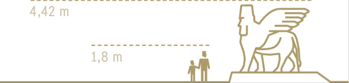 Oñekompara umi persóna yvatekue (1,8 métrorupi) ha pe tóro ipepopáva ha orekóva yvypóra akã yvatekue (4,42 métrorupi).