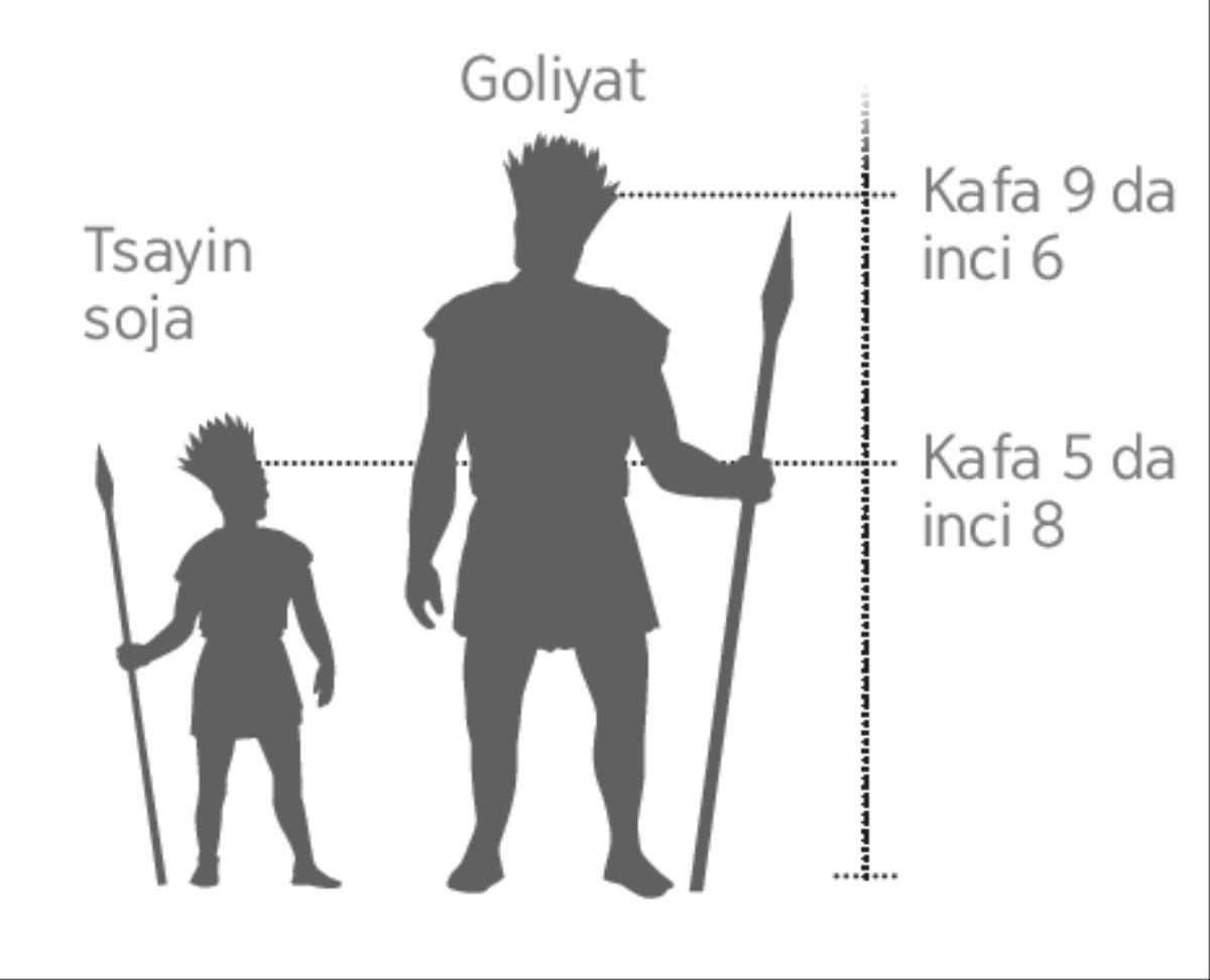 Hoton da ya nuna tsayin Goliyat da na soja