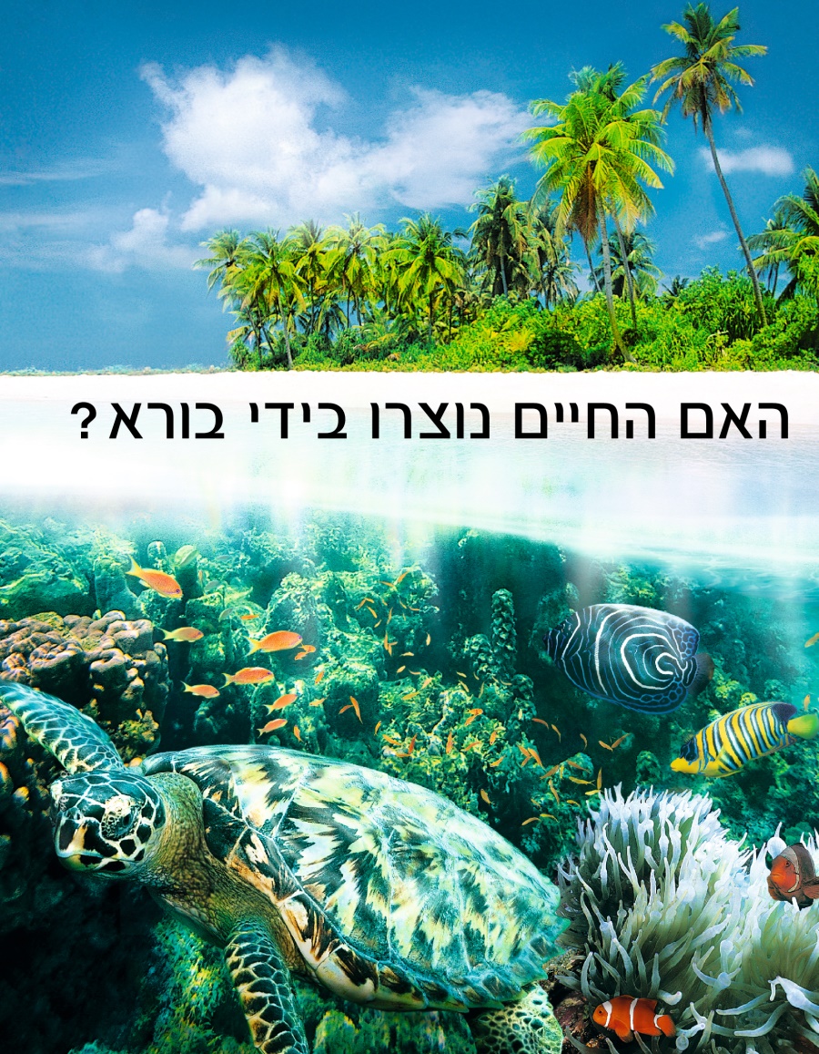 האם החיים נוצרו בידי בורא?‏