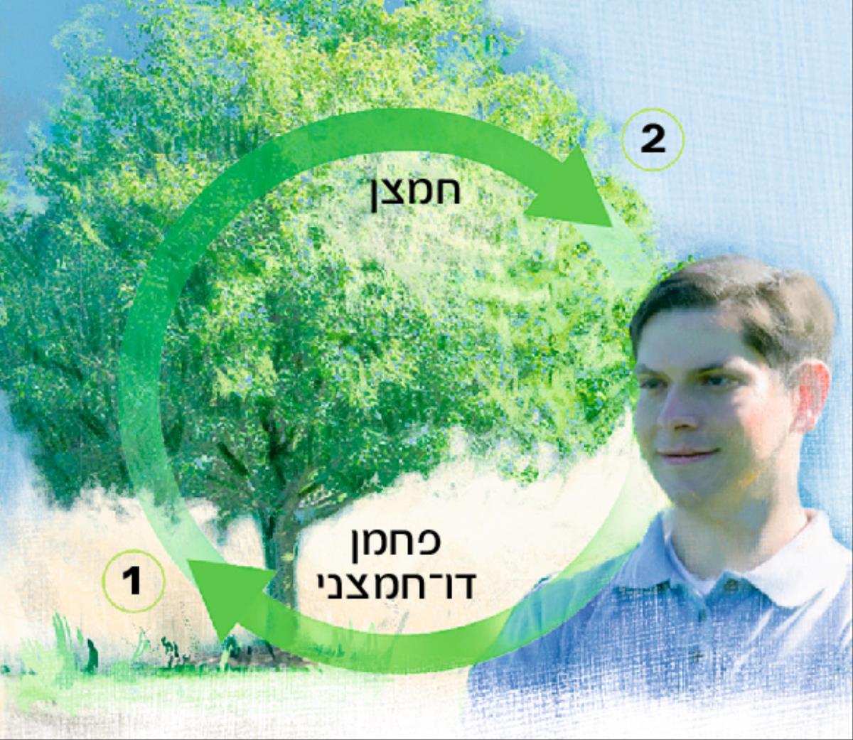 מחזורי הפחמן הדו־חמצני והחמצן
