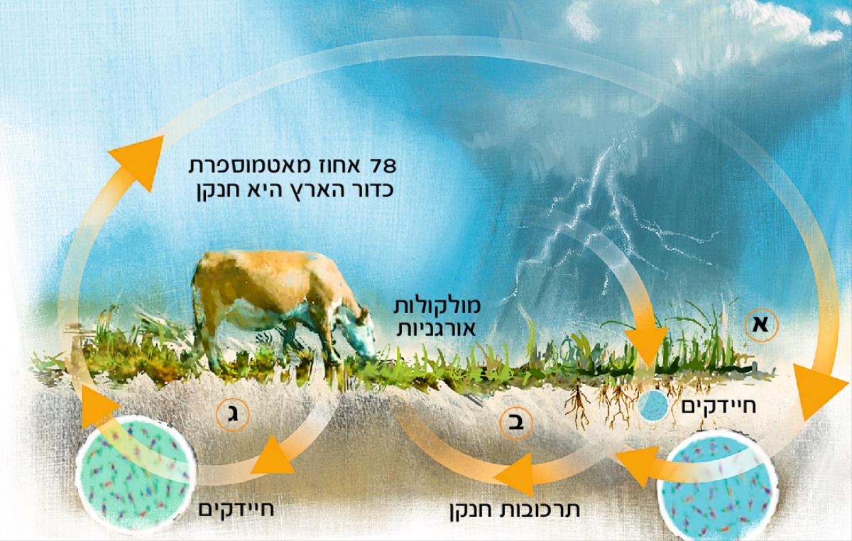 מחזור החנקן