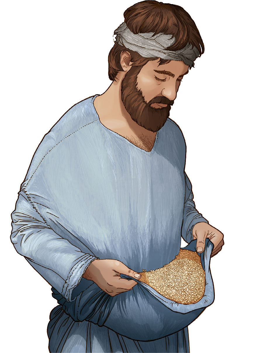 אדם מתקופת המקרא נושא תבואה בקפל בגדו