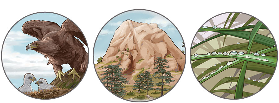 סדרת תמונות:‏ תיאורים ציוריים המופיעים בדברים פרק ל״ב.‏ 1.‏ טיפות טל על עלי עשב.‏ 2.‏ סלע יציב דמוי הר.‏ 3.‏ עיט מגן על גוזליו.‏