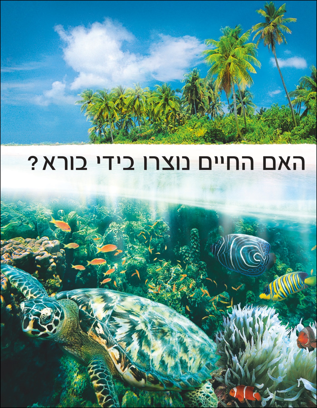 החוברת ”‏האם החיים נוצרו בידי בורא?‏”‏