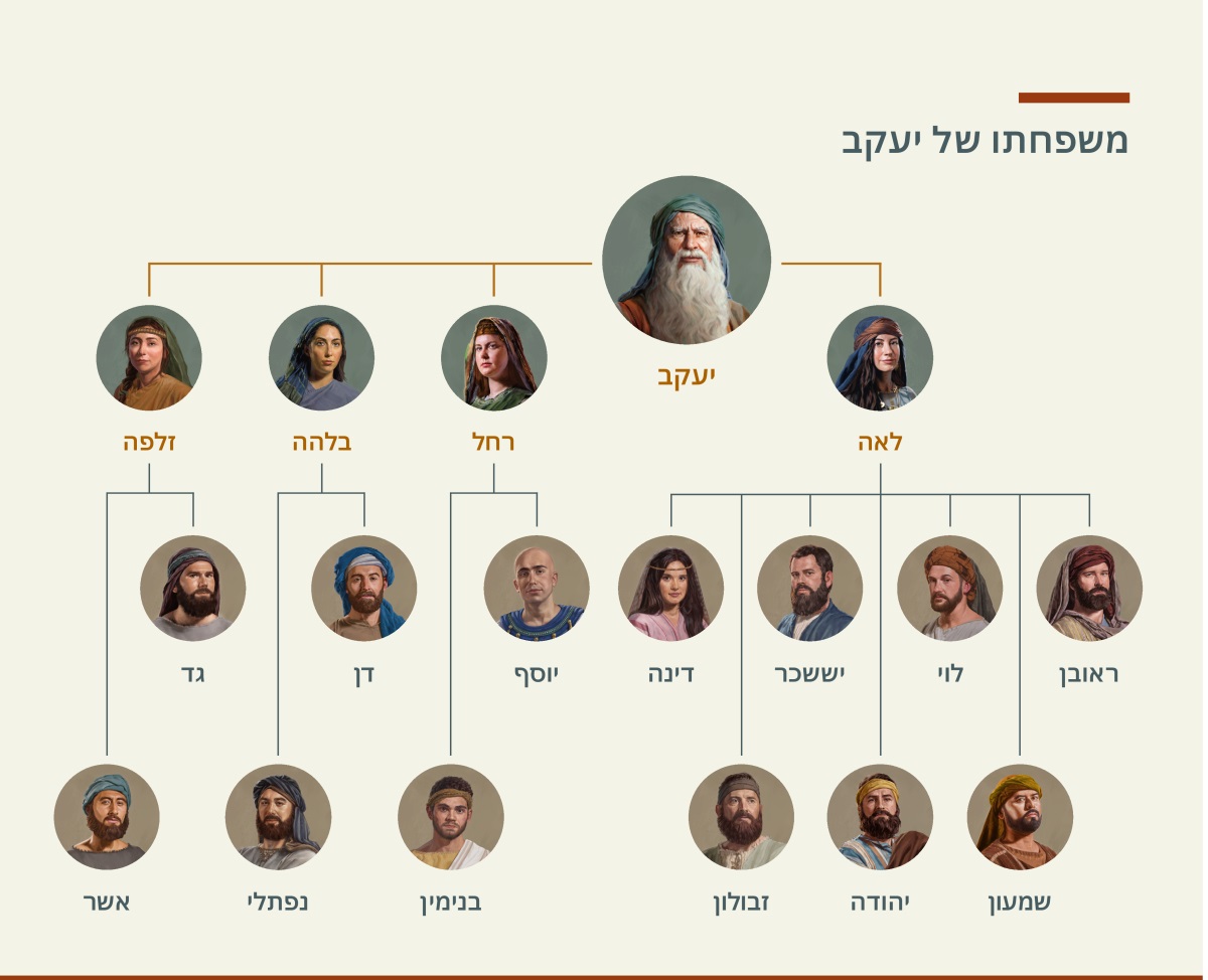 טבלה המציגה את אילן היוחסין של יעקב.‏ יש לו שתי נשים,‏ לאה ורחל,‏ וגם שתי פילגשות,‏ בלהה וזלפה.‏ ילדיו מלאה הם ראובן,‏ שמעון,‏ לוי,‏ יהודה,‏ יששכר,‏ זבולון ודינה.‏ ילדיו מרחל הם יוסף ובנימין.‏ ילדיו מבלהה הם דן ונפתלי,‏ וילדיו מזלפה הם גד ואשר.‏