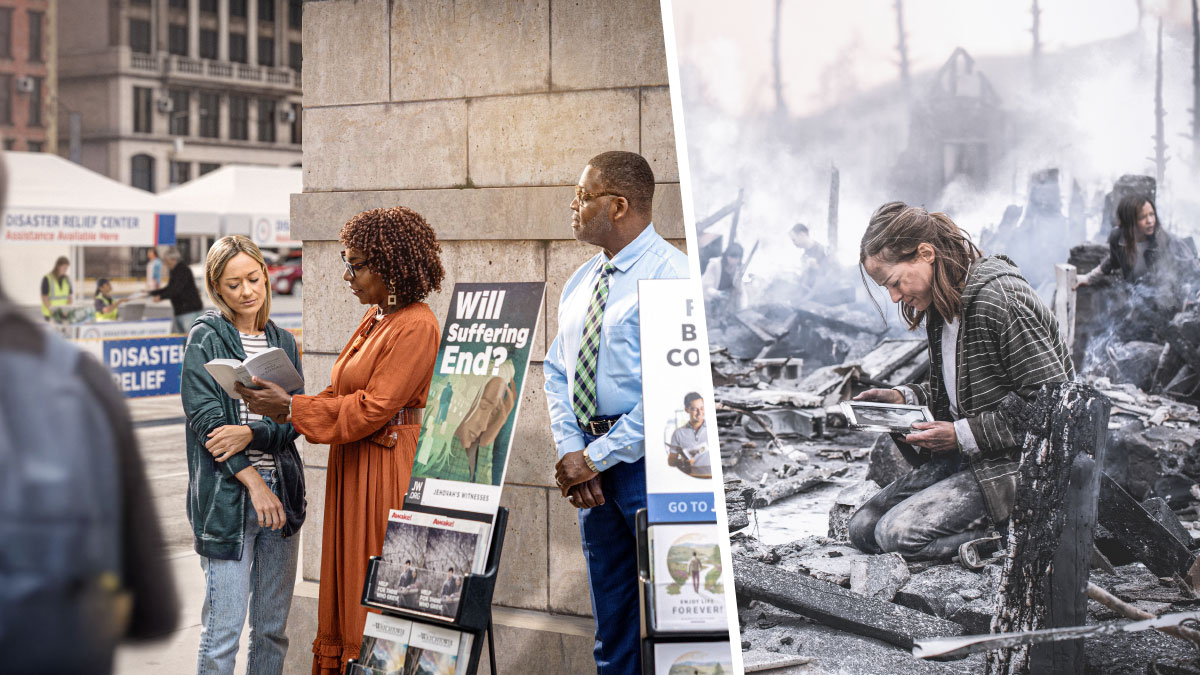 סדרת תמונות:‏ 1.‏ אישה ממררת בבכי ואוחזת בתמונה משפחתית ממוסגרת שהיא הצליחה להציל מהריסות ביתה שעלה בלהבות.‏ 2.‏ אחרי כן האישה עוצרת ליד עגלת בישור הממוקמת בקרבת מרכז סיוע לנפגעי האסון ומקשיבה לאחות המקריאה לה פסוק.‏