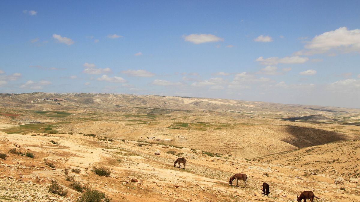 נוף מדברי באזור של העיר כרמל ביהודה.‏