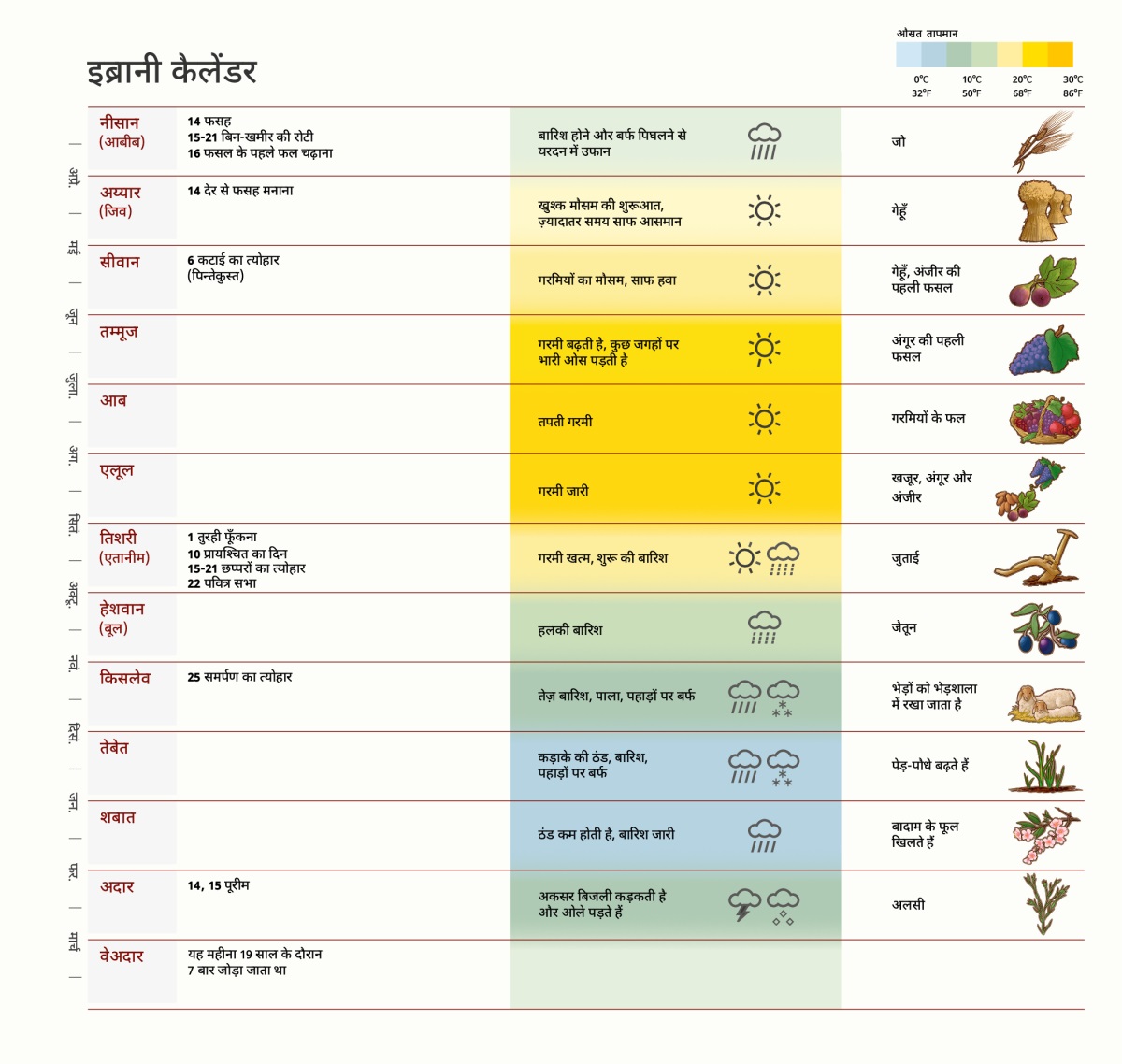 इब्रानी कैलेंडर का चार्ट जिसमें बाइबल के ज़माने के महीनों, त्योहारों, मौसम और फसल के बारे में बताया गया है।