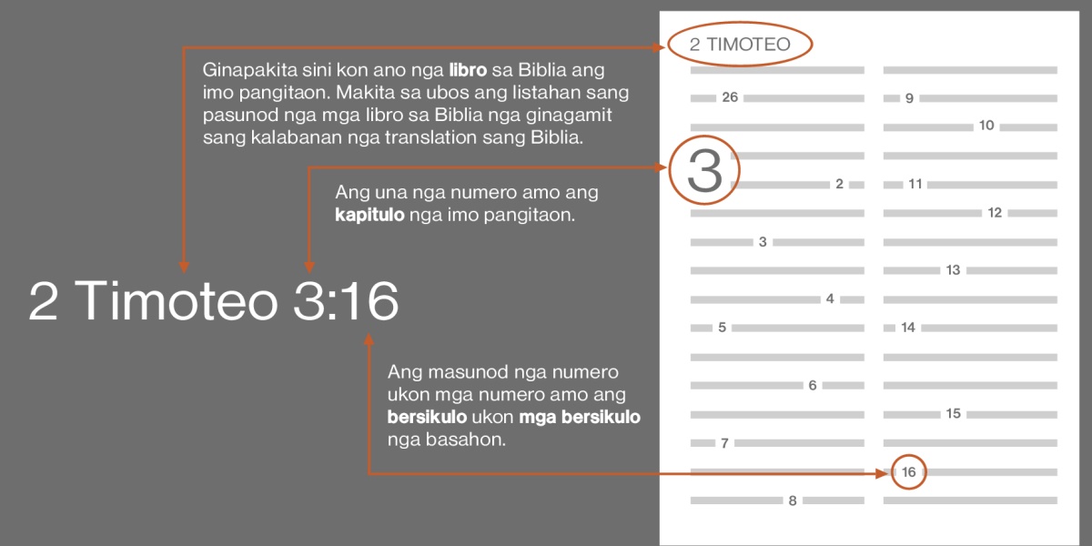 Kon paano mangita sang mga bersikulo sa Biblia paagi sa paggamit sang 2 Timoteo 3:16 bilang halimbawa. Makita mo sa halimbawa nga teksto kon ano nga libro sa Biblia ang imo pangitaon, pareho abi sang libro sang 2 Timoteo (tan-awa ang listahan sa ubos para sa kinaandan nga pagpasunod sang mga libro sa Biblia). Ang una nga numero amo ang kapitulo nga pangitaon mo, pareho sang kapitulo 3. Ang numero ukon mga numero nga nagasunod amo ang bersikulo ukon mga bersikulo, pareho sang bersikulo 16.