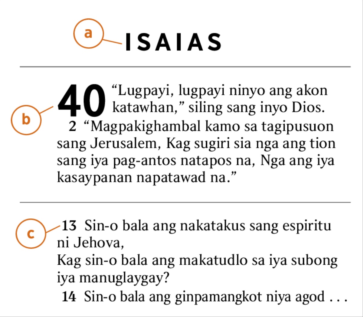 Ginapakita ang isa ka teksto sa Biblia agod mahibaluan ang a) libro sang Biblia, b) kapitulo, kag c) bersikulo