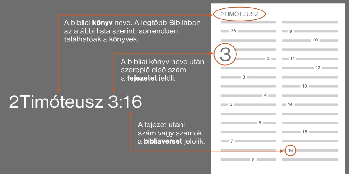 Hogyan lehet megtalálni a bibliaverseket? Egy példa a 2Timóteusz 3:16 alapján: A hivatkozás a bibliai könyv nevével kezdődik, ez most a 2Timóteusz (a cikkben találsz egy listát a bibliai könyvek sorrendjéről). Az első szám a fejezetre utal, ez esetben 3. A kettőspont utáni szám vagy számok a versre, versekre utalnak, ez most a 16.