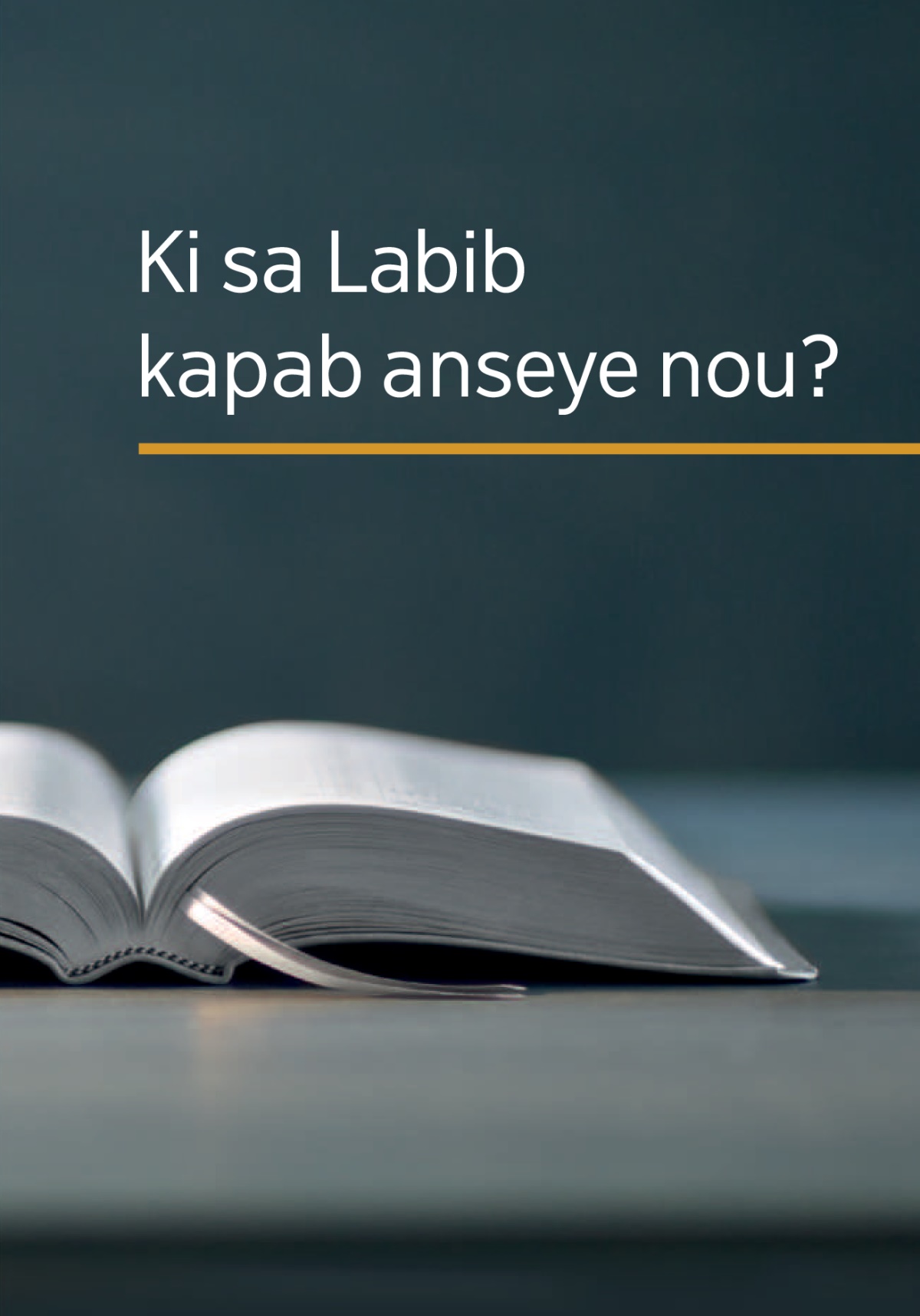 Fas liv ‘Ki sa Labib kapab anseye nou?’ an.
