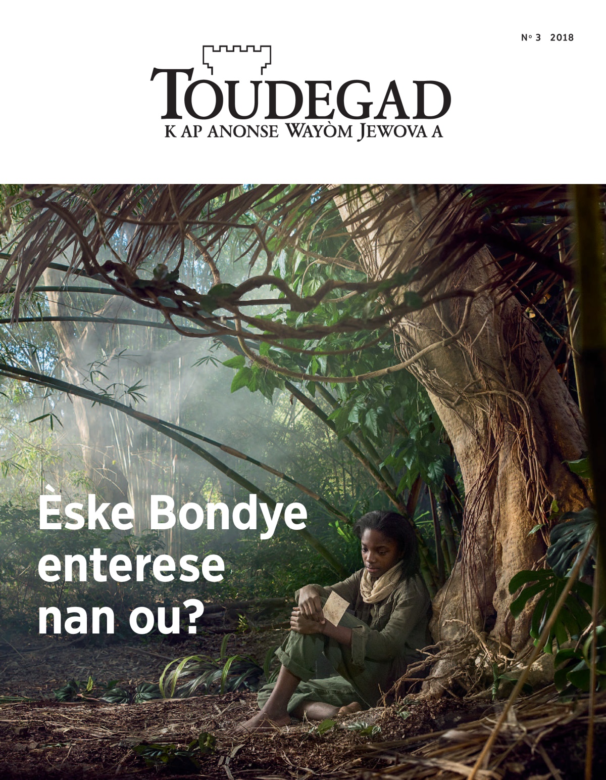 ‘Toudegad’ No 3 2018.