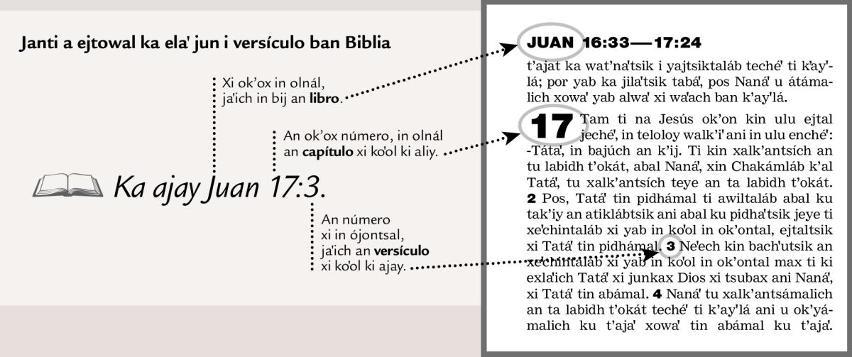 Sample of a scripture reference