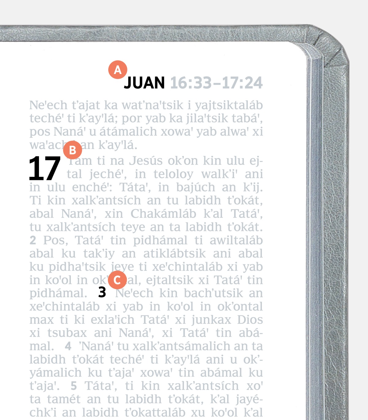 Etiquetas que corresponden a las características A, B y C en una página de la Biblia.