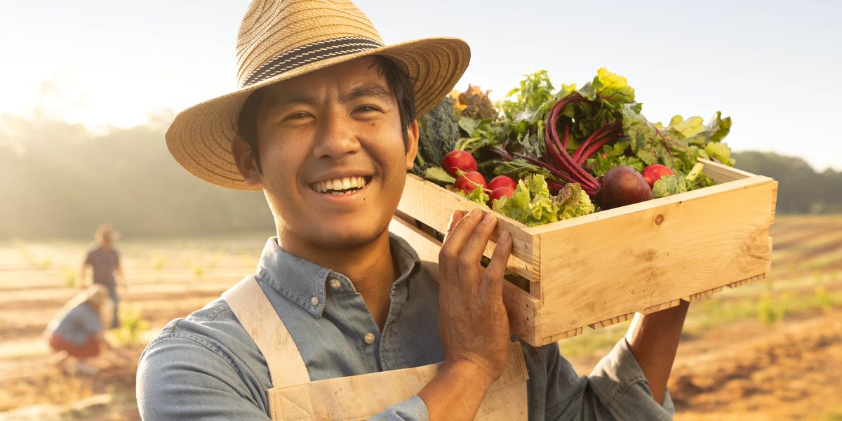 One farma guy all happy an stay carrying one crate of fresh vegetables on his shoulder.