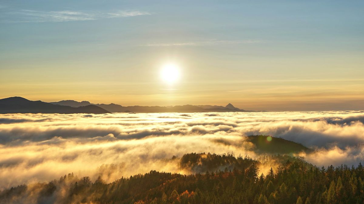 Da sun shine on one fores dat stay cova wit thick fog.