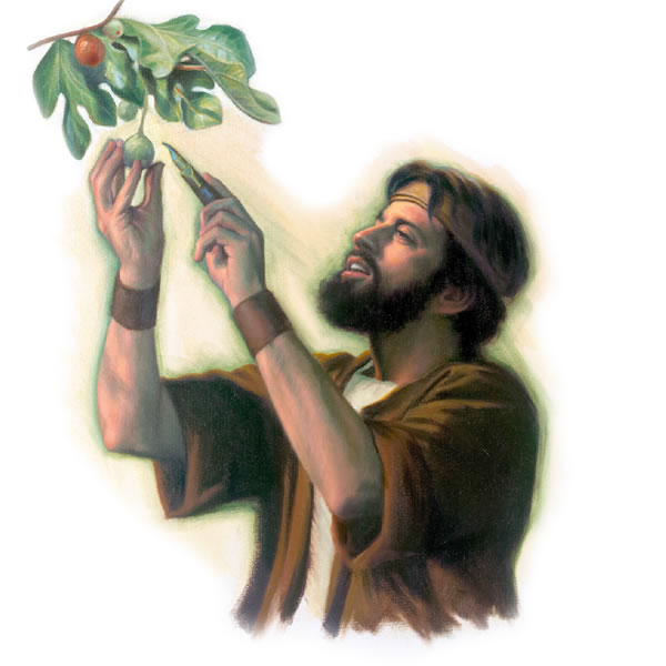 նկար 18–րդ էջի վրա