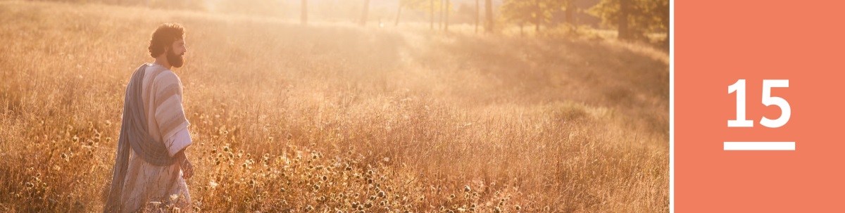 Դաս 15. Հիսուսը քայլում է ցորենի արտի միջով