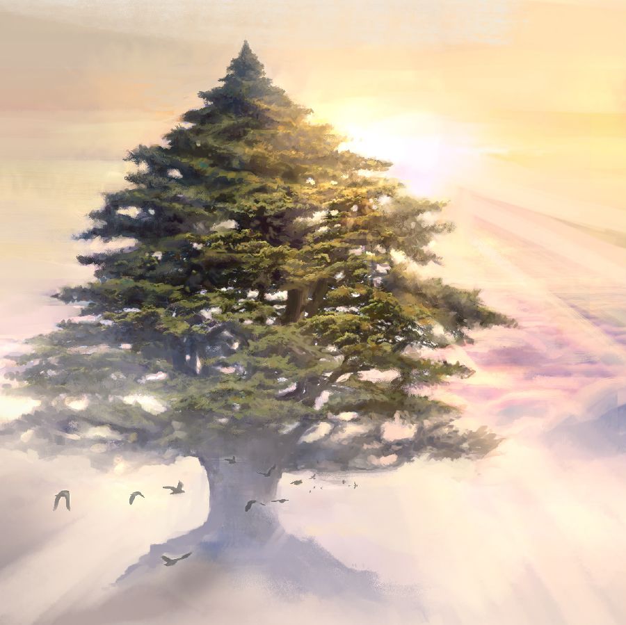 Թռչունները թռչում են մեծ մայրու շուրջը