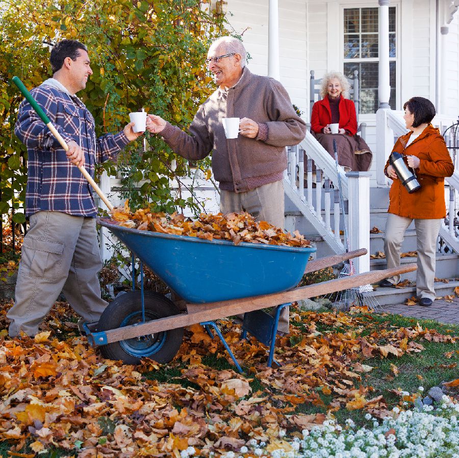 Հոսեն և Ռոուզը Թոնիի և Ուենդիի հետ