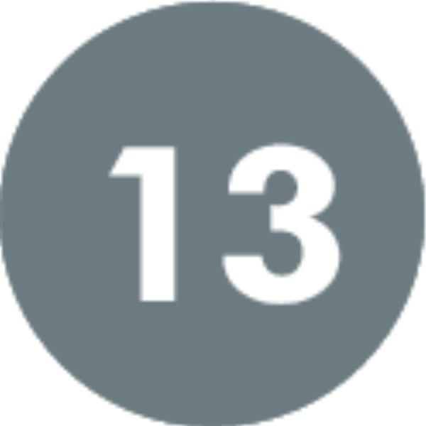 Մարգարեություն 13