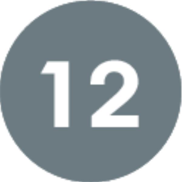 Մարգարէութիւն 12։