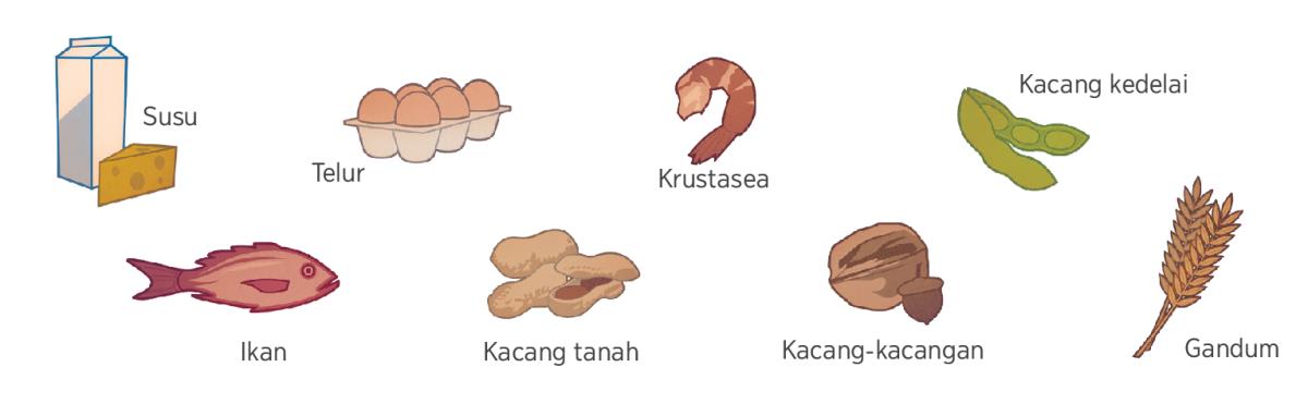 Susu, telur, krustasea, kacang kedelai, ikan, kacang tanah, kacang-kacangan, dan gandum