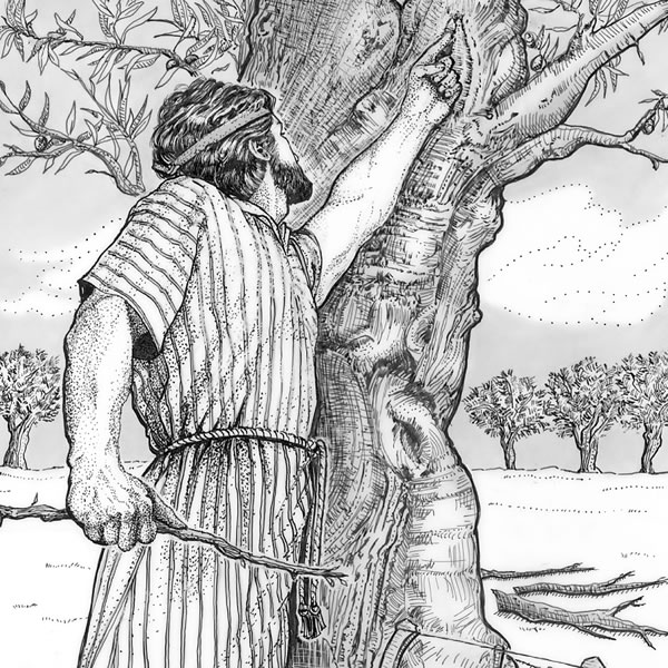 [Gambar di hlm. 29]