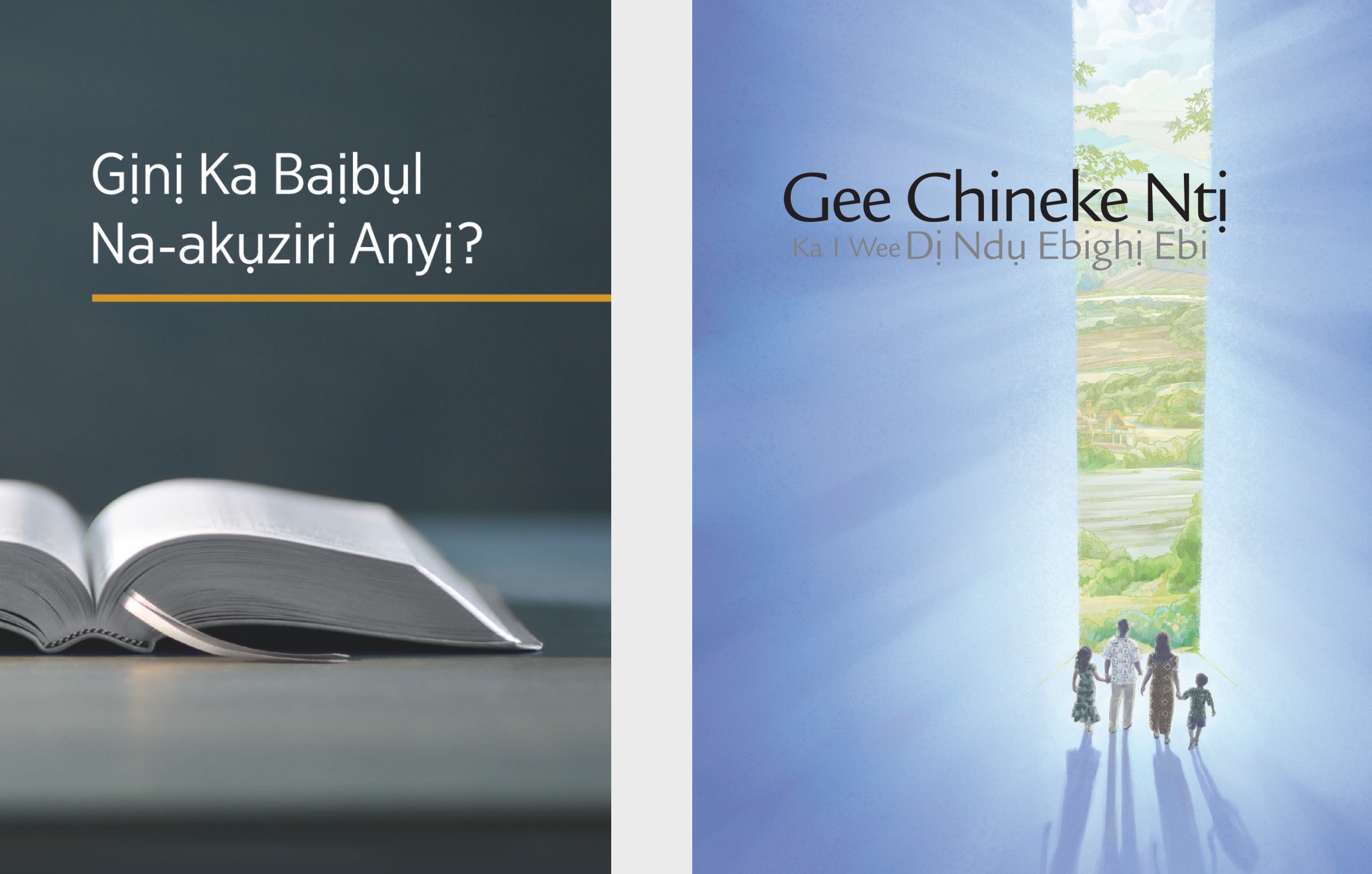 Akwụkwọ bụ́ ‘Gịnị Ka Baịbụl Na-akụziri Anyị?’ na broshọ bụ́ ‘Gee Chineke Ntị Ka I Wee Dị Ndụ Ebighị Ebi.’