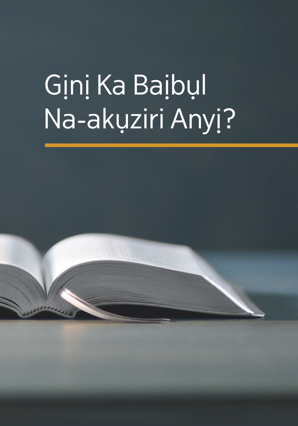 Akwụkwọ bụ́ ‘Gịnị Ka Baịbụl Na-akụziri Anyị?’