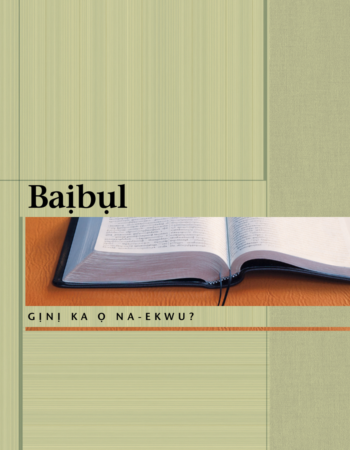 Baịbụl—Gịnị Ka Ọ Na-ekwu?