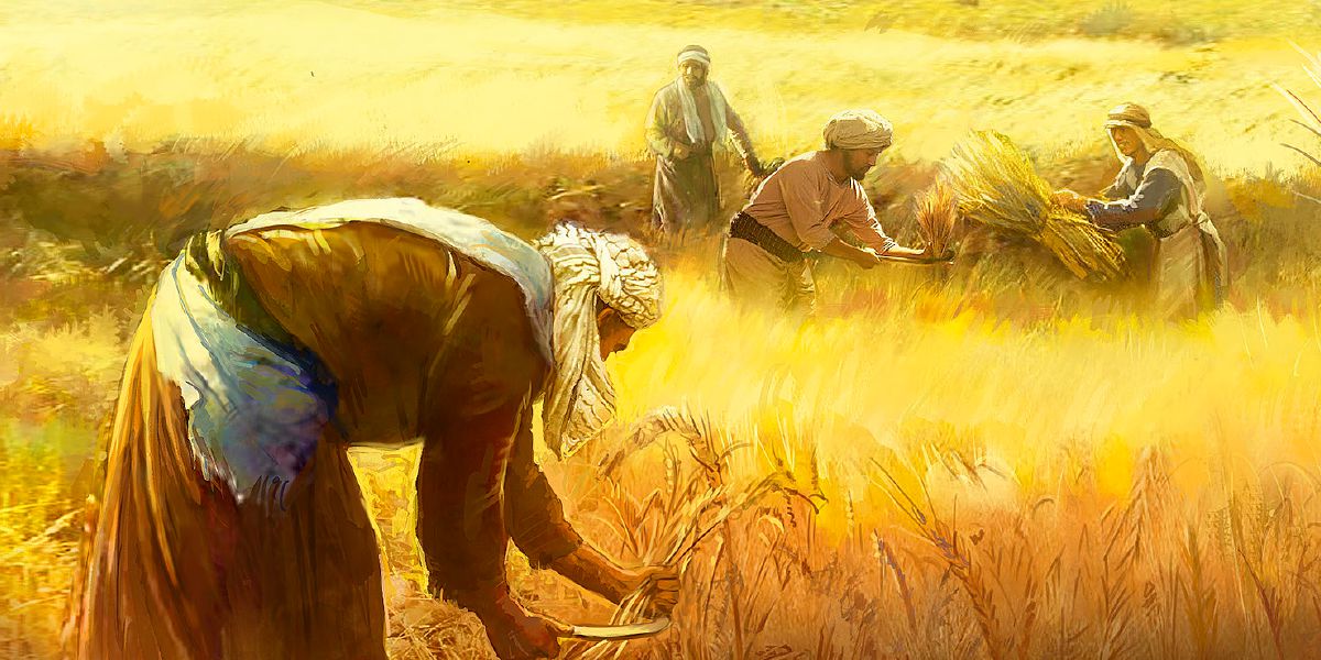 Ndị na-arụ ọrụ n’ubi wit