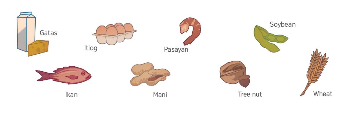 Gatas, itlog, pasayan, soybean, ikan, mani, nuts, ken wheat