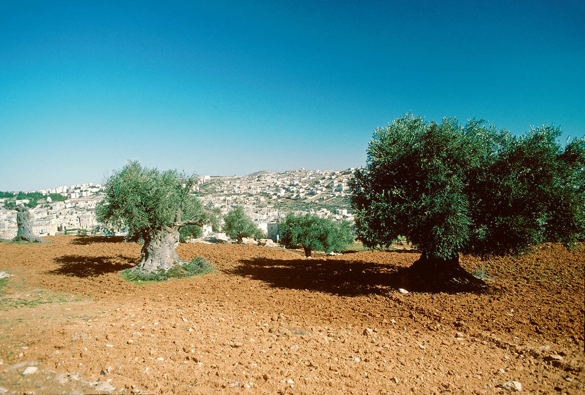 [Ladawan iti panid 331]