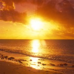 The Origin of Life—Five Questions Worth Asking