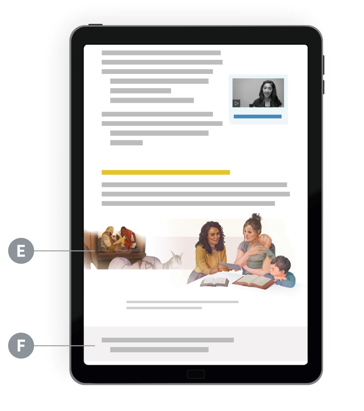 Le lettere E ed F indicano alcune caratteristiche della parte centrale di una lezione.