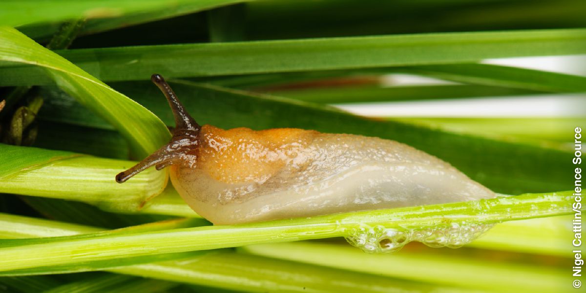 Usekpe nọ u bi ru olọle no oma riẹ ze.