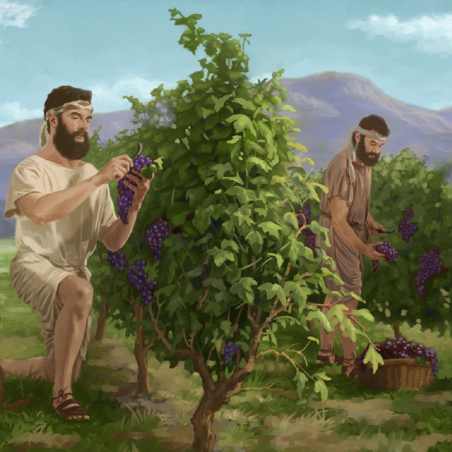 Ezae nọ e be kọrọ ibi-ire evaọ ẹkwotọ Izrẹl.