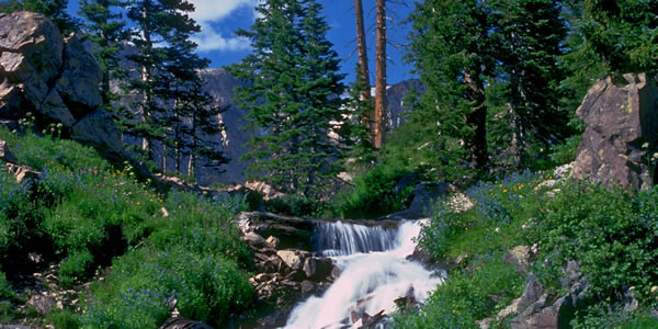 Una bella cascata tra gli alberi sui monti.
