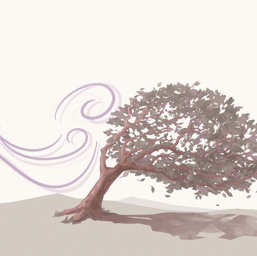 Un albero si piega al vento