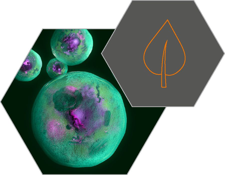 Cellule viventi che contengono carbonio