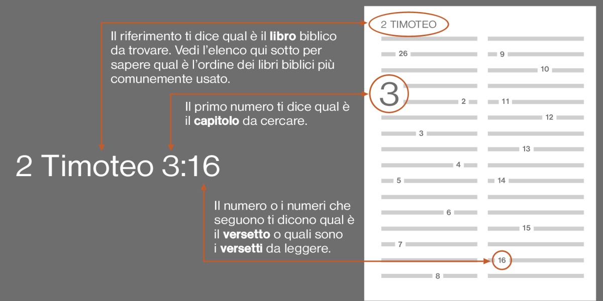 Come trovare i versetti nella Bibbia usando 2 Timoteo 3:16 come esempio. Il riferimento ti dice qual è il libro biblico da trovare, in questo caso 2 Timoteo (vedi l’elenco qui sotto per sapere qual è l’ordine dei libri biblici più comunemente usato). Il primo numero ti dice qual è il capitolo da cercare, in questo caso il capitolo 3. Il numero o i numeri che seguono ti dicono qual è il versetto o quali sono i versetti da leggere, in questo caso il versetto 16.