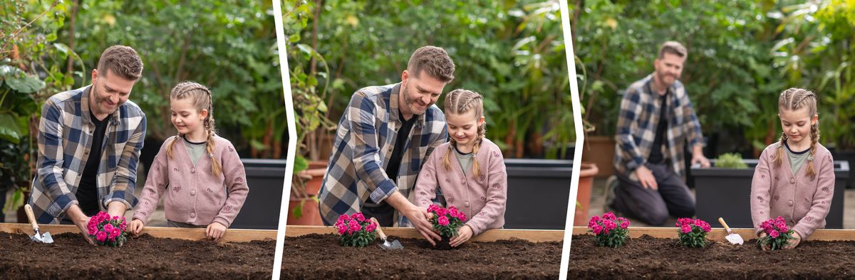 Sequenza: Un papà insegna alla sua bambina a piantare fiori. 1. Lui pianta dei fiori mentre lei osserva quello che fa. 2. Lui le dà una mano a piantare dei fiori. 3. Lui la osserva mentre lei pianta dei fiori da sola.