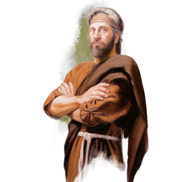 Illustrazione a pagina 22