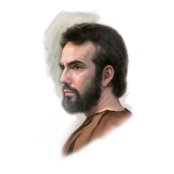Illustrazione a pagina 23