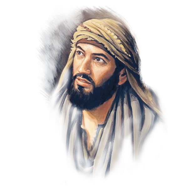 Illustrazione a pagina 25