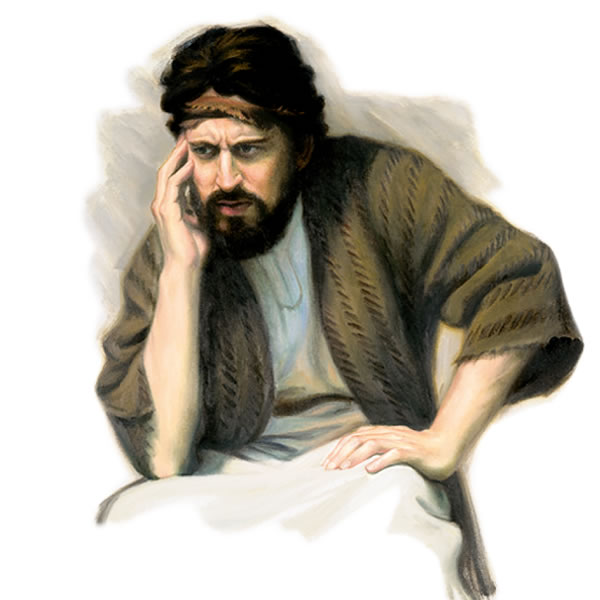 Illustrazione a pagina 17